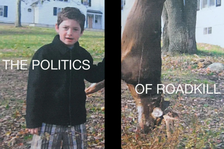 The Politics of Roadkill